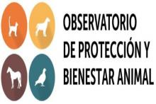 Logo del Observatorio Distrital de Protección y Bienestar Animal